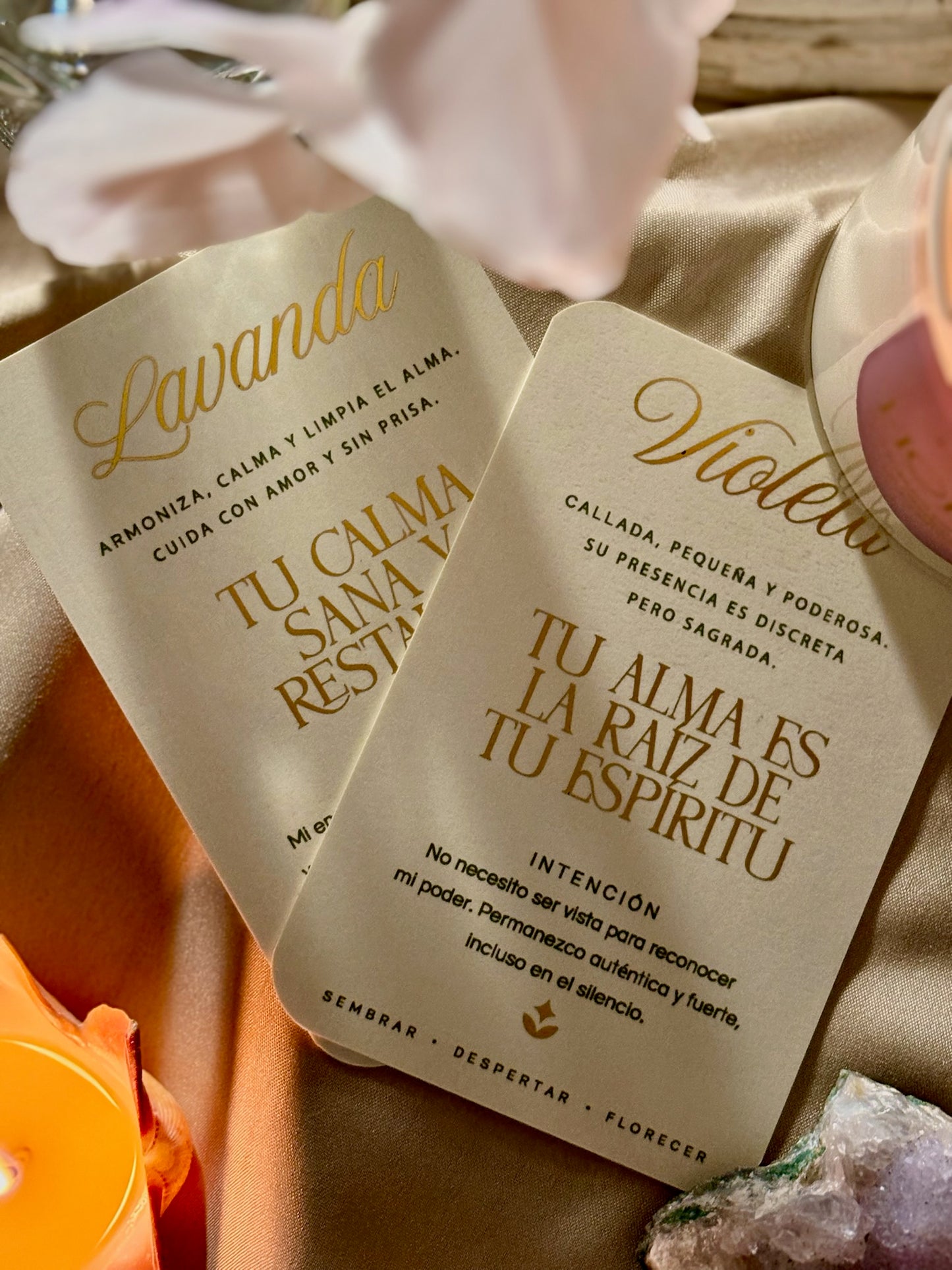 Tarjetas con Intención - FloresSiendo
