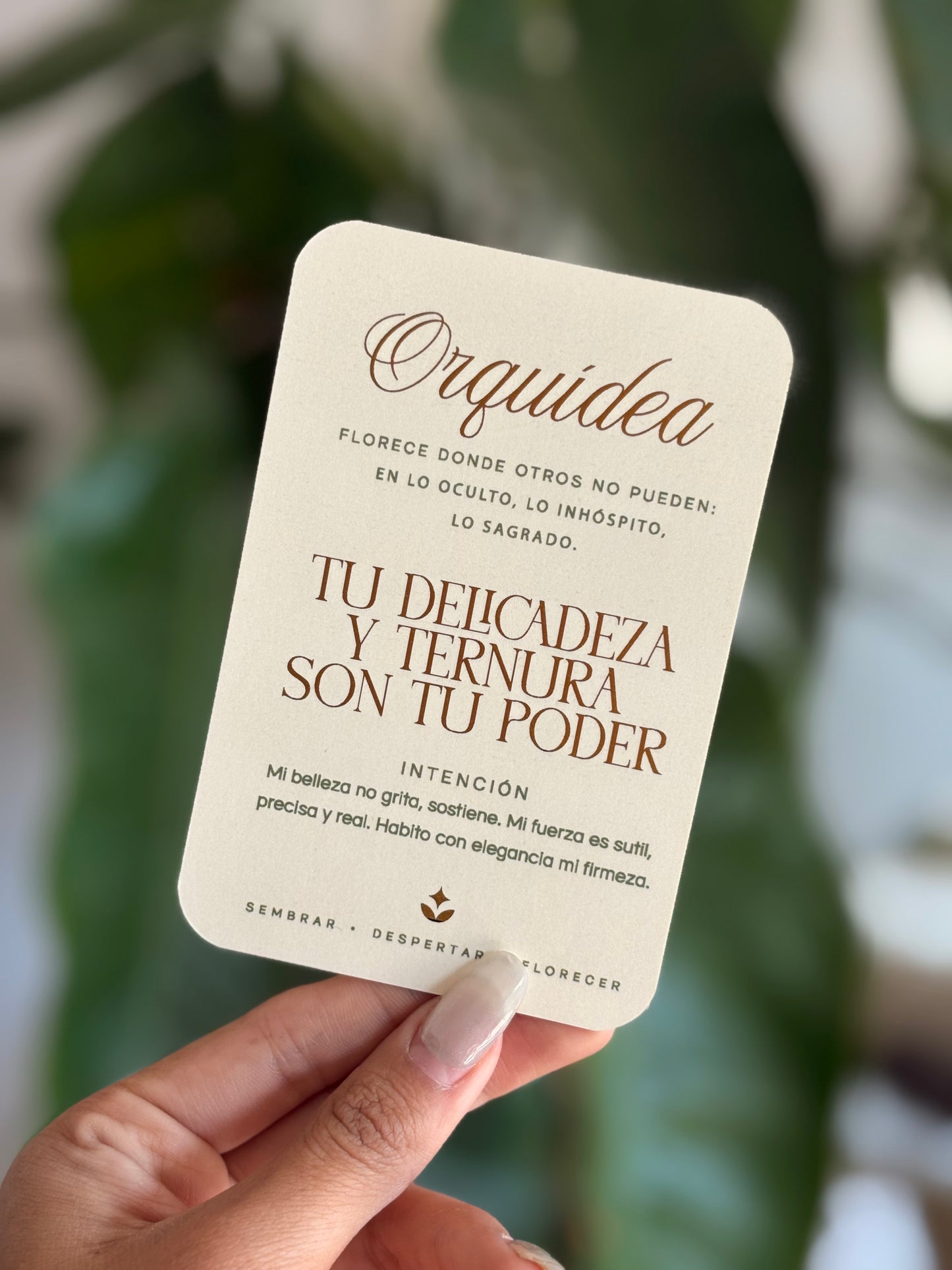 Tarjetas con Intención - FloresSiendo