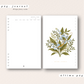 Journal Olivo