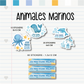 Set Escolar Animales Marinos